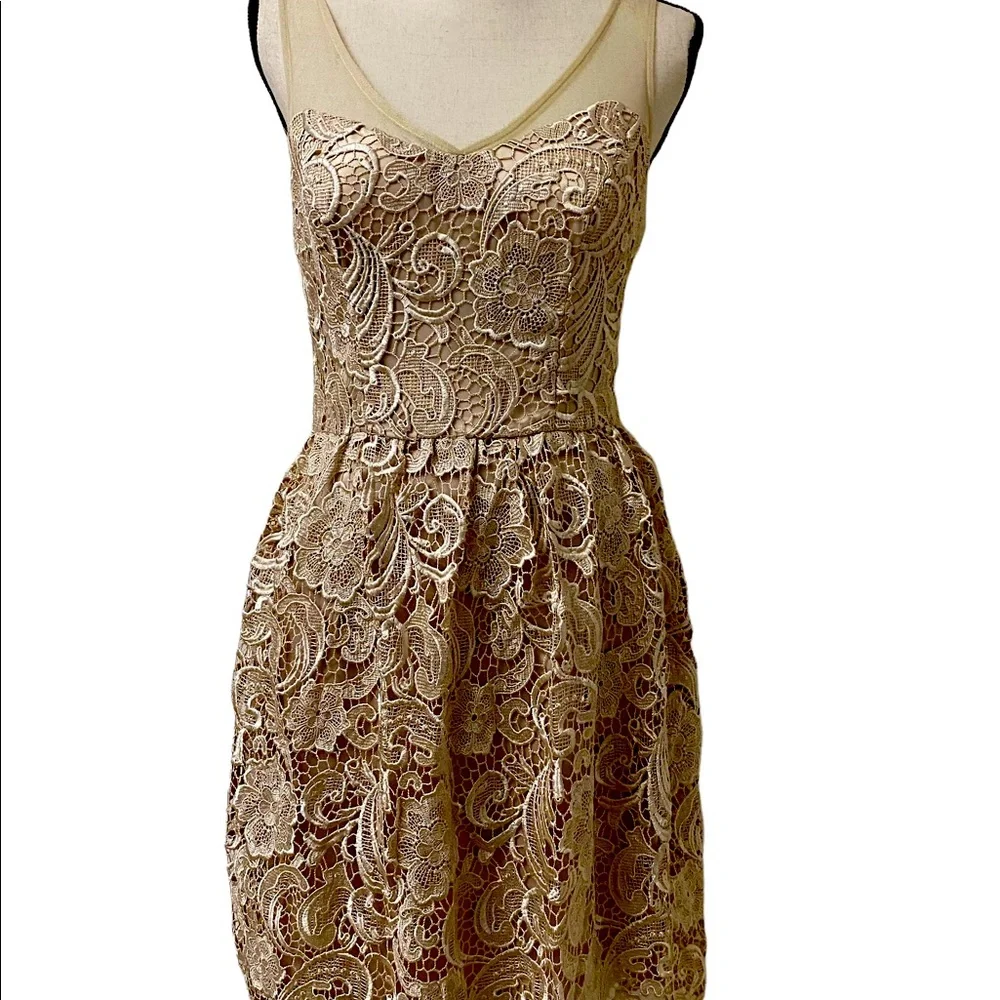 ADRIANNA PAPELL Lace Illusion Midi Size 4 - Picture 15 of 15
